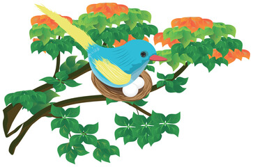 little blue bird with eggs on the branch, vector design