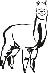 Cartoon Black and White Isolated Illustration Vector Of A Llama Standing and Smiling