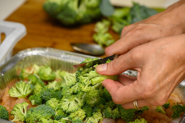 woman cutting broccoli into chicken fillet for baking 7