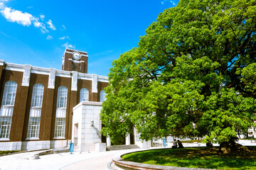 京都大学