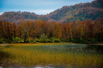 Fototapeta premium autumn in the mountains