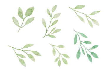 Assortment of watercolor leaves illustration set - green leaf branches collection for wedding, greetings, stationary, wallpapers, fashion, background. olive, green leaves, Eucalyptus etc	