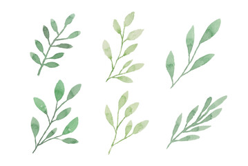 Assortment of watercolor leaves illustration set - green leaf branches collection for wedding, greetings, stationary, wallpapers, fashion, background. olive, green leaves, Eucalyptus etc	