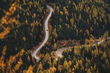 Obraz na płótnie Canvas Aerial view of car driving through the autumn forest on country road.