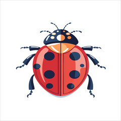 LADY BUG INSECT FLAT CHARACTER CARTOON