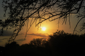 Luz del sol de un amanecer cualquiera