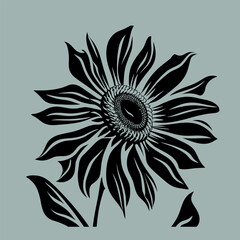  sunflower silhouette vector illustration, garden 