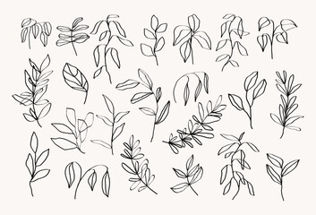 Hand drawn botanical line art design elements. Trendy ink stylized branches, plants and leaves.