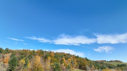Trees on mountainside in brilliant orange Fall colors against blue sky with light clouds and sunshine in nature forest