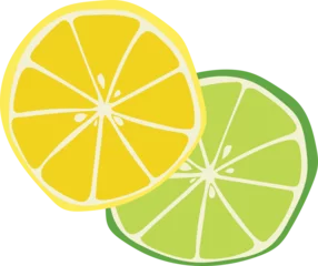 Foto op Plexiglas Lemon slice illustration © Ellette Lorelei