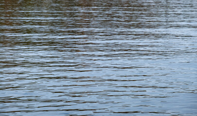 waves on the sea surface. Blue water asbstract. 