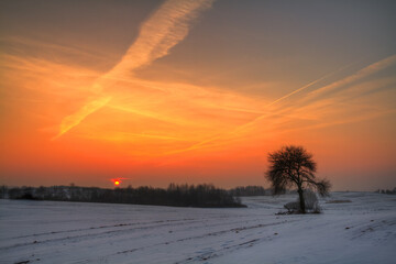 Landscape winter snowy fields in Poland, Europe on sunny day in winter, amazing colour blue sky sundown