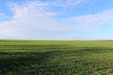 A large green field
