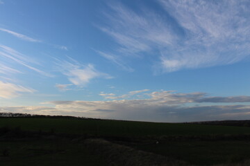 A field with a blue sky