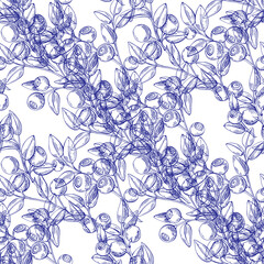 Blueberry.  Seamless vector pattern with wild berries on a white background. Outline graphics. Perfect for design templates, wallpaper, wrapping, fabric, print and textile.