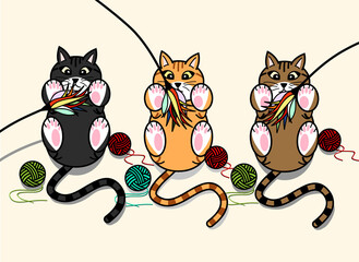 고양이와 놀아주기(playing with cat)