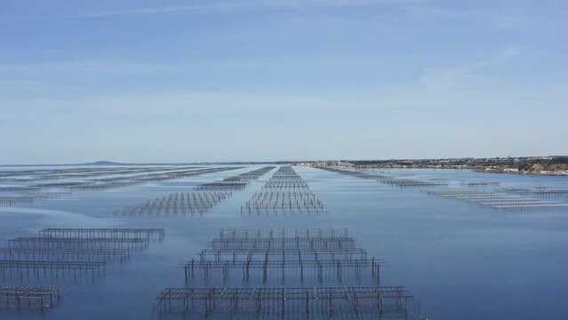 Oyster parc in bouzigues south of france , occitanie