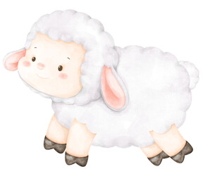 sheep
