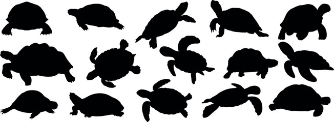 Set of different turtle silhouettes. Isolated flat vector illustrations