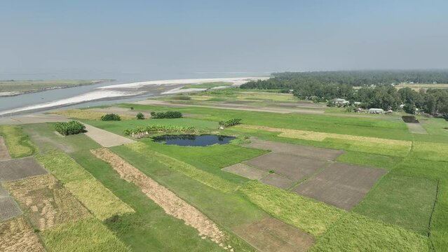 view of the countryside. agriculture field on jamuna river beach. sariakandi, bogura, bangladesh