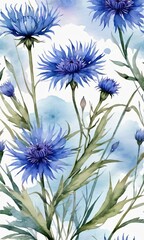 Watercolor Blue Floral Cornflower, Hand Painted Wildflowers Isolated.