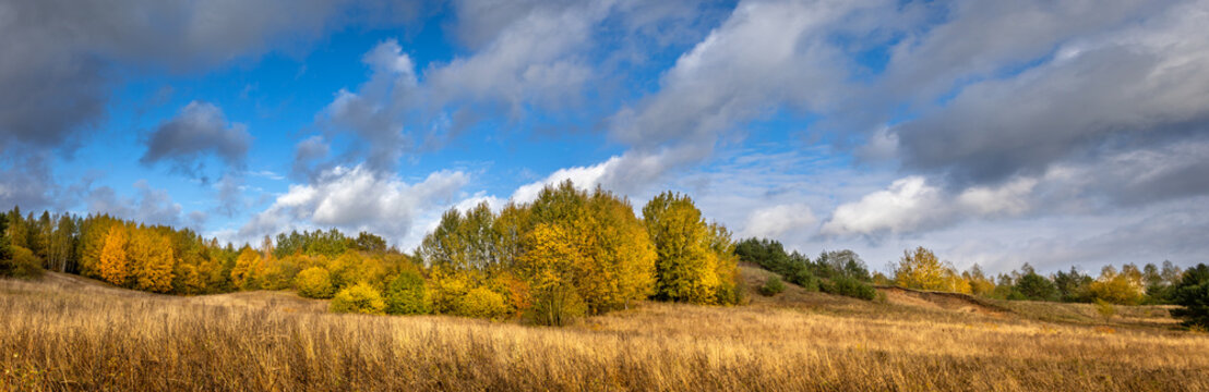 panorama october landscape - autumn sunny day, beautiful trees with colorful yellow leaves, Poland, Europe, Podlasie, forest near the meadow