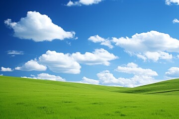 Obraz premium Magnificent panoramic view of vast green fields under a serene and captivating blue sky