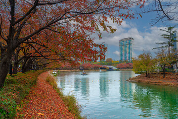 Obraz premium Lake view, walk around the lake Tree-lined crevices surrounding an autumn-colored seokchon lake in the center of Seoul, North Korea, 