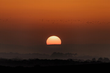 sunset in the fields