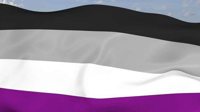 Loop der Pride Asexual Fahne wehend im Wind als Nahaufnahme 4K	