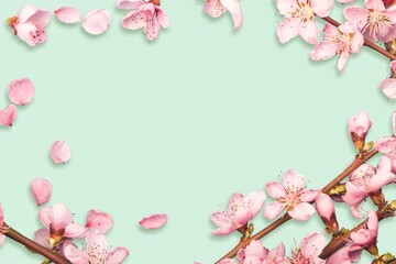 Fototapeta premium blossoming fresh flowers on tree branches