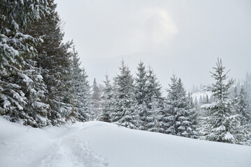 winter landscape with snow covered trees