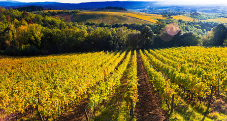 Fototapeta na wymiar Italy scenery. Traditional countryside and vineyards of beautiful Tuscany in autumn golden colours