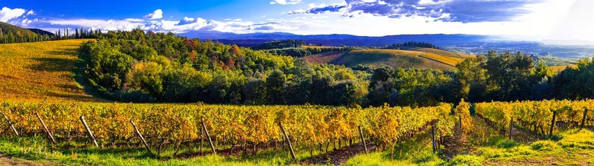 Fotobehang Italy scenery. Traditional countryside and landscapes of beautiful Tuscany in autumn golden colours. vineyards and cypresses. © Freesurf