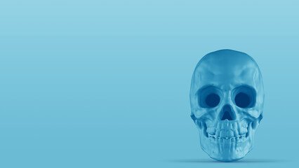 해골 머리뼈 배경  Skull Skeleton Background