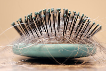 Closeup of Hairbrush with Strands of Hair