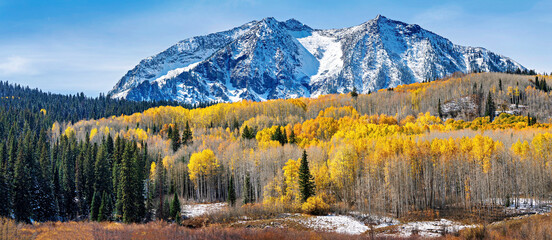 Panorama autumn trees in Mountains