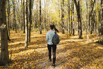 Fototapeta premium Beautiful girl doing fitness in nature on a sunny autumn forest. Body positive, sports for women, harmony, healthy lifestyle, self-love and wellness.