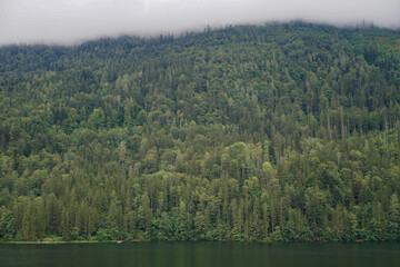 Picturesque and idyllic forest mountain at lake lunz in lower austria