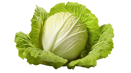 Obraz premium cabbage on a transparent background