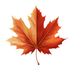 Obraz premium maple leaf flat illustration
