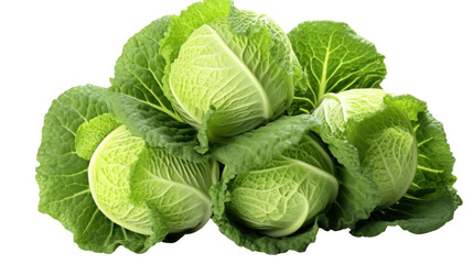 cabbage on a transparent background