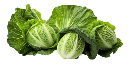 cabbage on a transparent background
