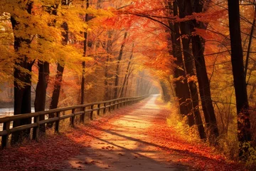 Papier Peint photo Destinations Autumn road in the forest. Autumn landscape. Nature background, Nice pathway in Autumn colors, AI Generated