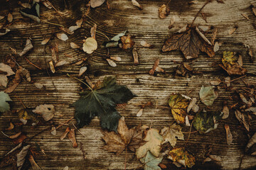 jesienne tło z liści i drewna - obrazy, fototapety, plakaty