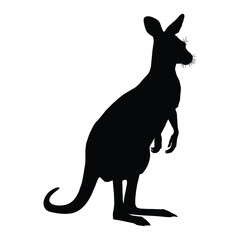Kangaroo Silhouette on White Background