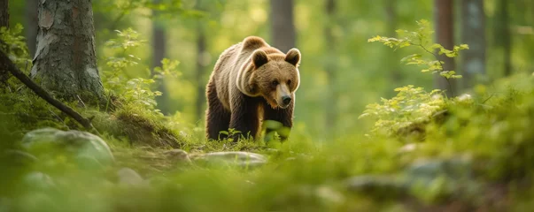 Keuken spatwand met foto ursus arctos , brown bears, generative ai © Michal
