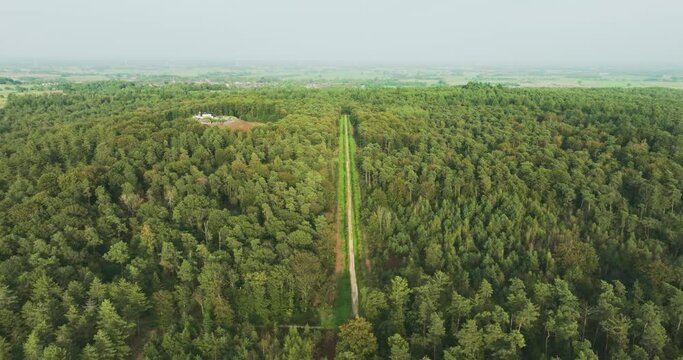 Aerial view of mixed forest Landgoed Huis Bergh with motte hill, Zeddam, Montferland, Gelderland, Netherlands.