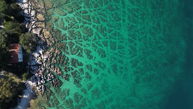 Aerial view of crystal clear water along the coastline with rocky seabed on Veliki Brijun Island, Brijuni National Park, Istria, Croatia.