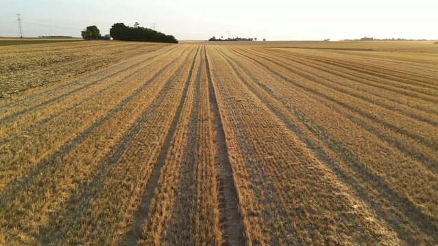Aerial view of a field in countryside at sunset, Jouy-en-Pithiverais, Loiret, France.
